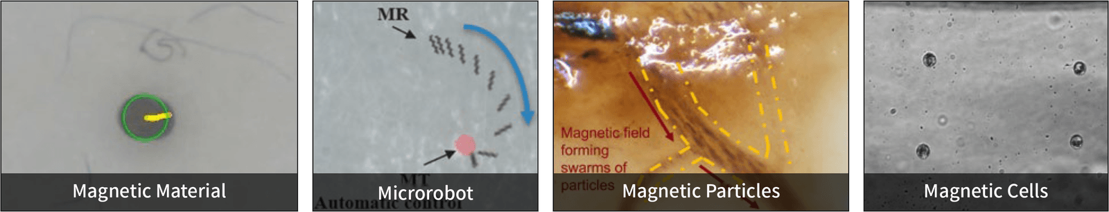 IM_3D MAG_LAB application range — Magnet, Microrobot, Magnetic particles, Magnetic stem cell