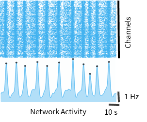 Raster plot of neuronal network activity over time