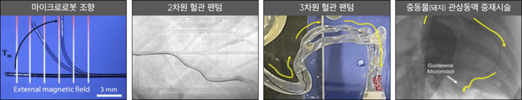 Pathfinder_Navi 전임상 검증 — 마이크로로봇 조향, 2D/3D 혈관 팬텀, 돼지 관상동맥 시술