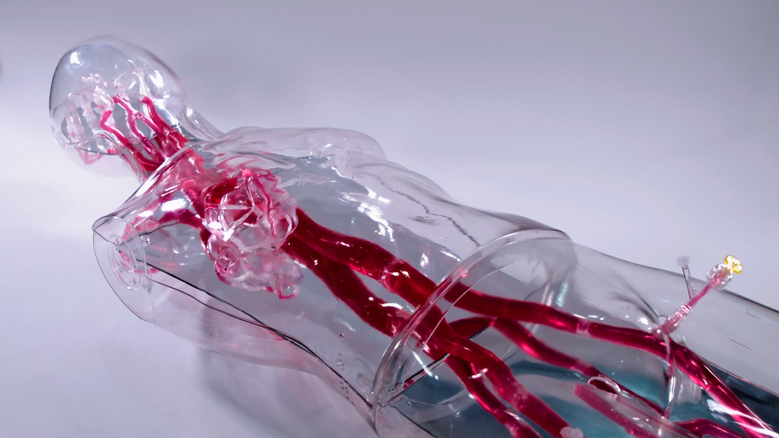 VasculiX 3D 혈관 시뮬레이터